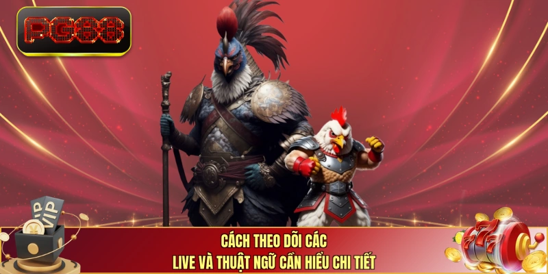 Cách theo dõi các live và thuật ngữ cần hiểu chi tiết