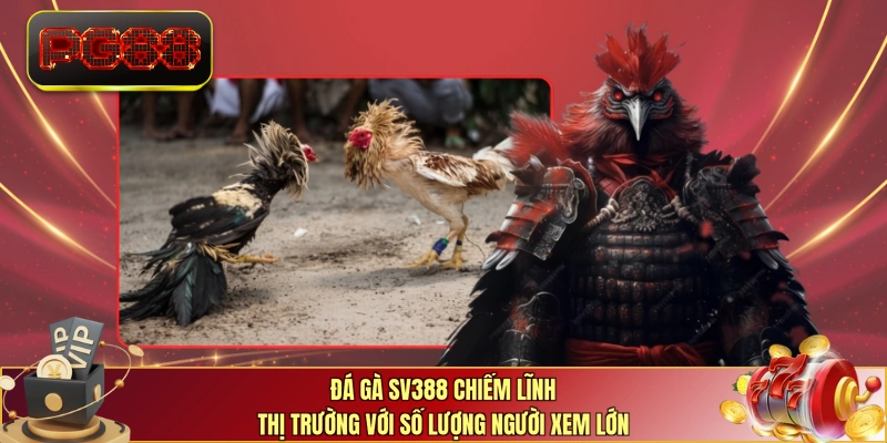 Đá gà SV388 chiếm lĩnh thị trường với số lượng người xem lớn