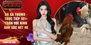 đá gà Thomo