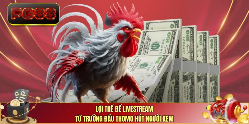 Lợi thế để livestream từ trường đấu Thomo hút người xem