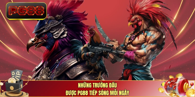 Những trường đấu được PG88 tiếp sóng mỗi ngày