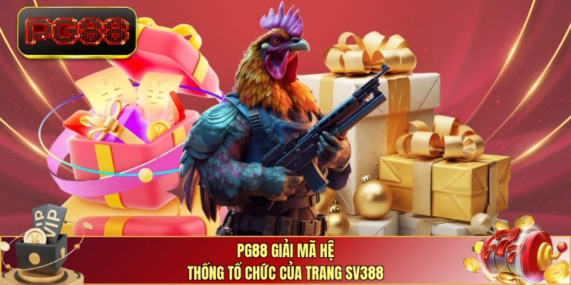 PG88 giải mã hệ thống tổ chức của trang SV388