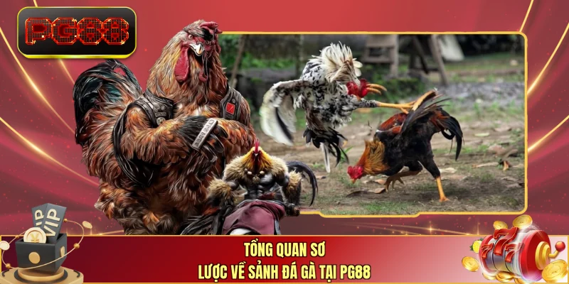 Tổng quan sơ lược về sảnh đá gà tại PG88
