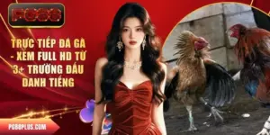 Trực tiếp đá gà